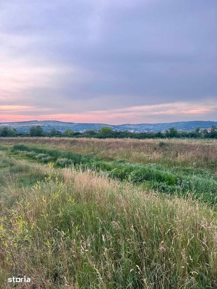 Teren de 2900 mp, în Central