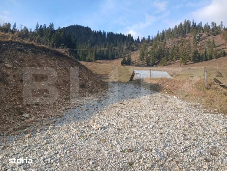 Teren de 12500 mp, în Dorna-Arini