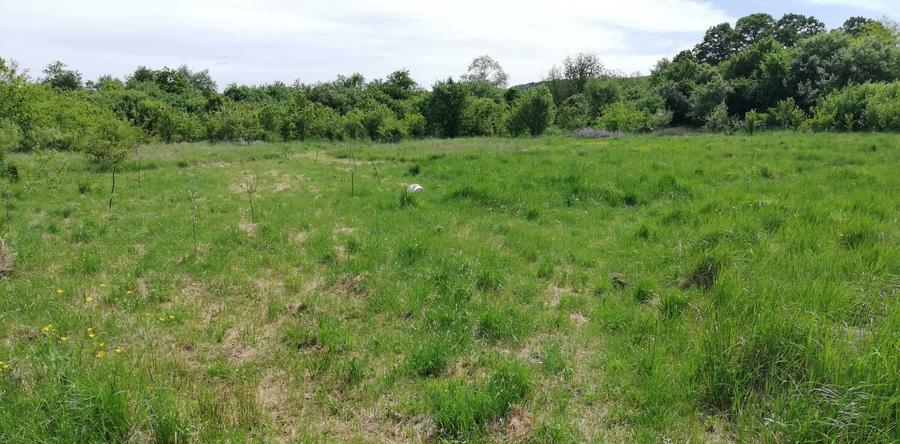 Teren de 11500 mp, în Vărădia de Mureș
