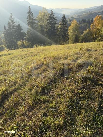 Teren de 22870 mp, în Stoicănești