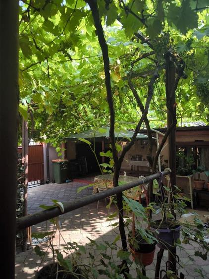 Vand casa curte zona Bucurestii Noi. - 2