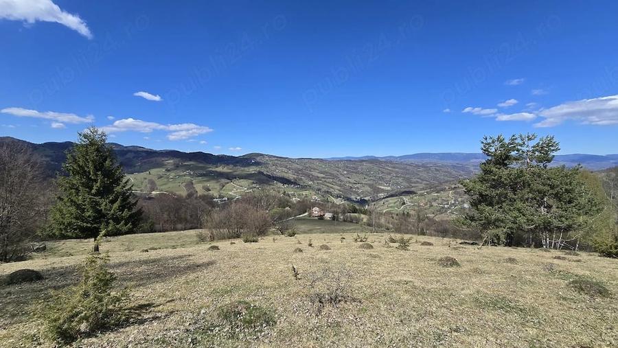 Teren de 23000 mp, în Sohodol