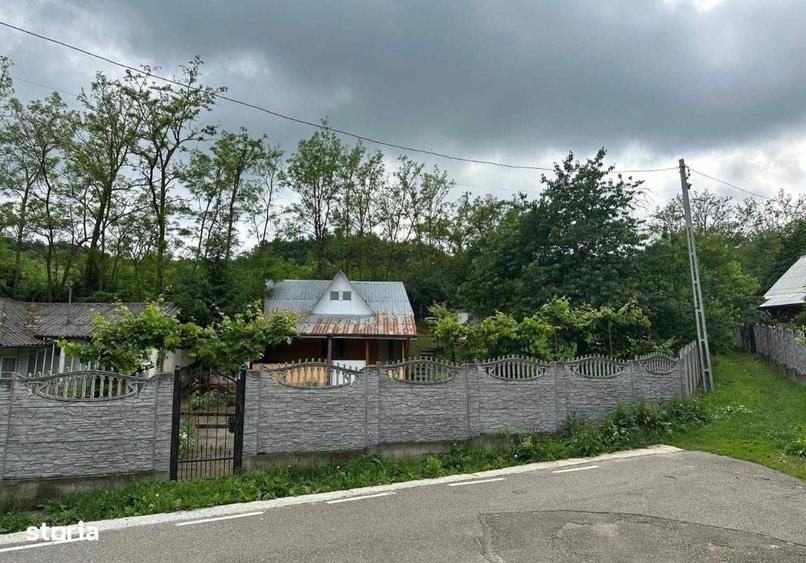 Spațiu comercial, în Ruginoasa