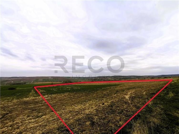 Teren Construcții intravilan de 7251 mp, în Uileacu de Munte