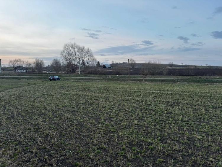 Teren de 7000 mp, în Pârteștii de Jos