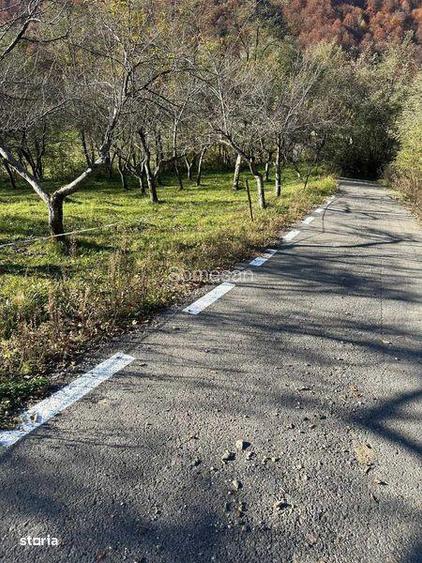 Vand teren extravilan in comuna cosbuc