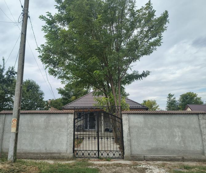 Casa Movila Miresii - 4