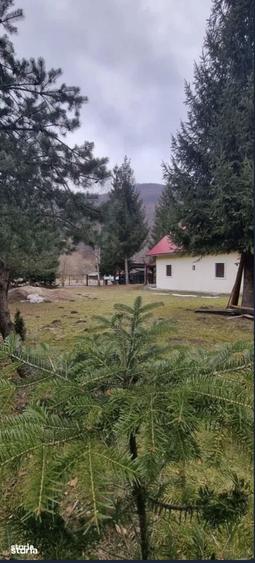 Casă cu 4 camere cu Teren 1600 Mp în Bulz