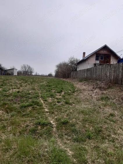 Teren în Dărmănești