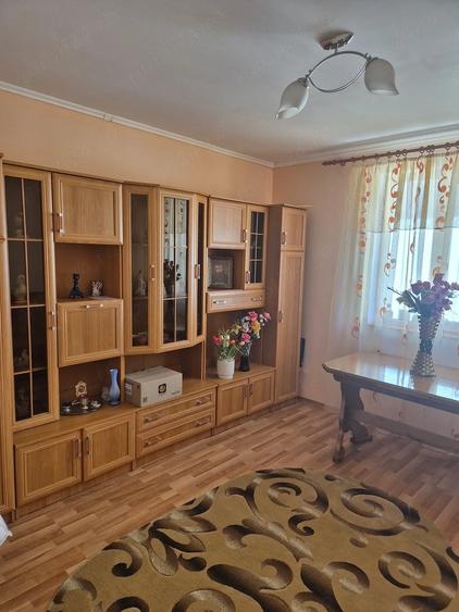 Casă cu 8 camere cu Teren 4158 Mp în Stănilești