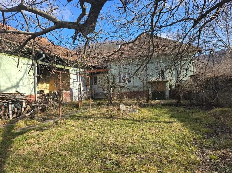 Casă cu 3 camere cu Teren 2500 Mp în Pietroasa