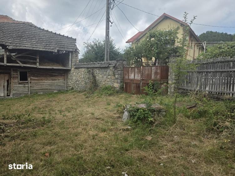 Buciumeni Dealul Mare - 12