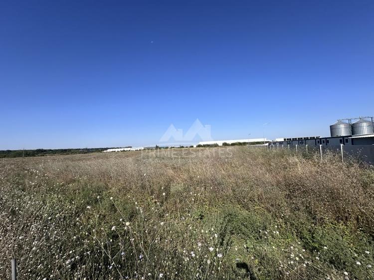 Teren Construcții intravilan de 24661 mp, în Ștefăneștii de Jos