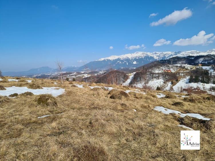 Teren Construcții extravilan de 150000 mp, în Șirnea
