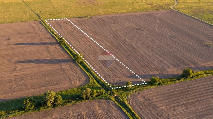 Teren agricol extravilan de 12500 mp, în Dumbrava
