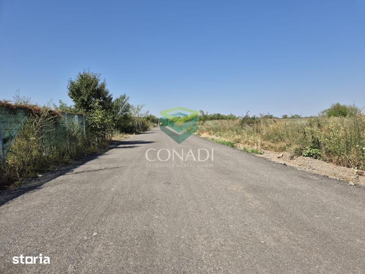 Teren de vanzare cu autorizatie pentru 2 hale - Otopeni - 10.000 mp - 14