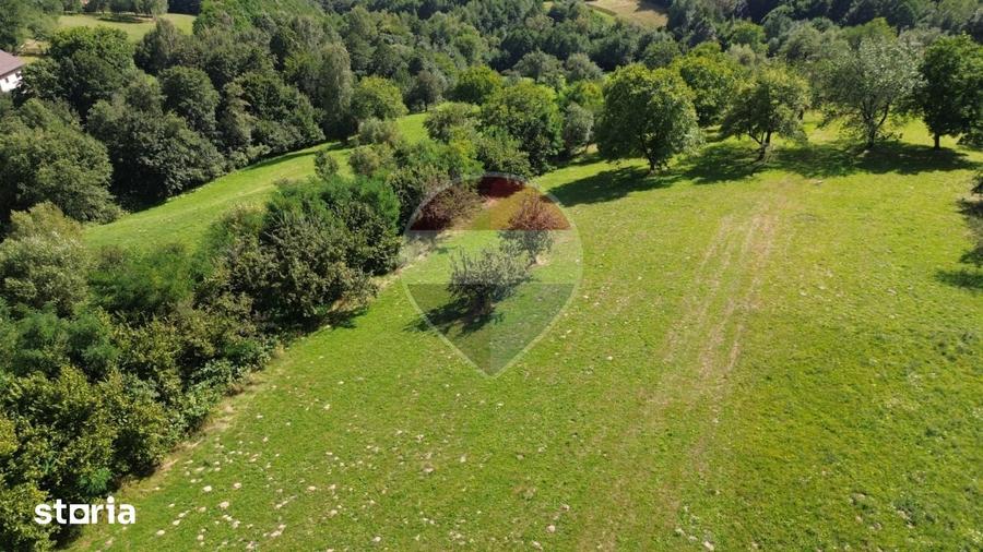 Teren 3,000mp Predelut / Strada Pe Tarina - 2