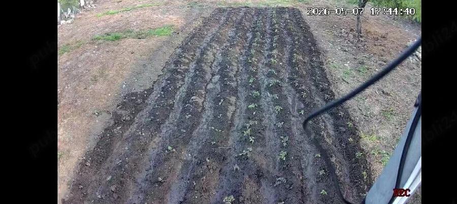 Casă cu 3 camere cu Teren 2500 Mp în Băneasa