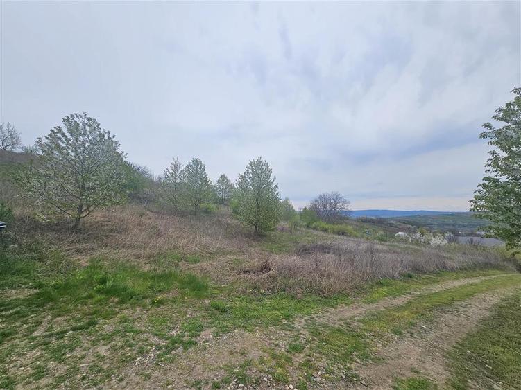 Teren Construcții intravilan de 9000 mp, în Ciurbești