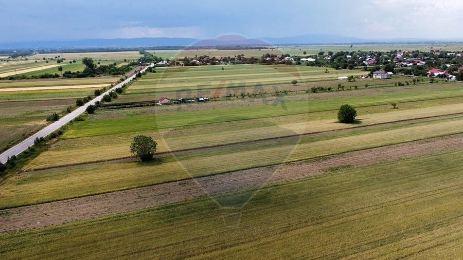Teren agricol intravilan de 6000 mp, în Biliești