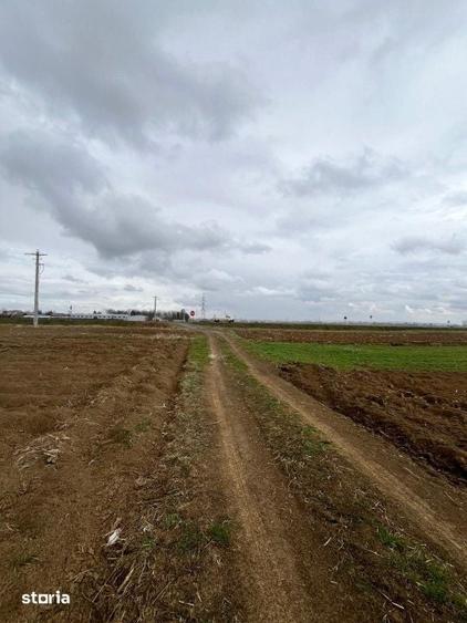 Teren de 2500 mp, în Hănțești