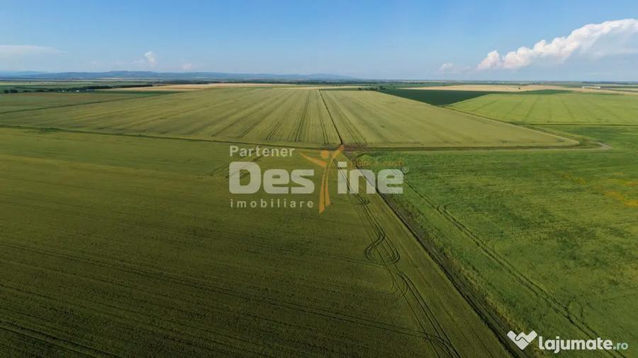 Teren de 41225 mp, în Dumbrava