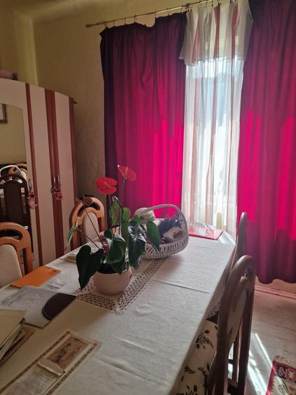 Apartament 1 camera-Gradina privata-Parcul Copou - 4