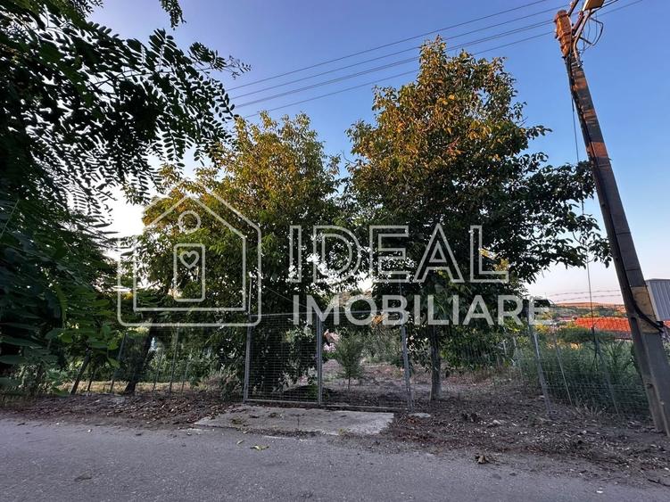 Teren Construcții intravilan de 1334 mp, în Alămor