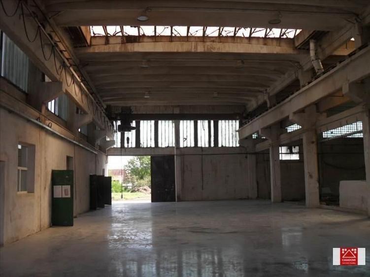 Spațiu industrial, de 7,000 mp, în Sânnicolau Mic