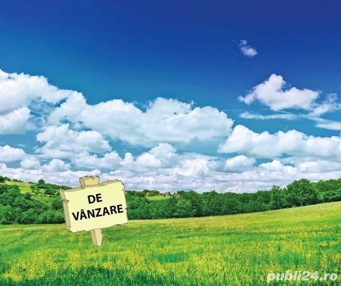 Teren de 1100 mp, în Tăuții-Măgherăuș