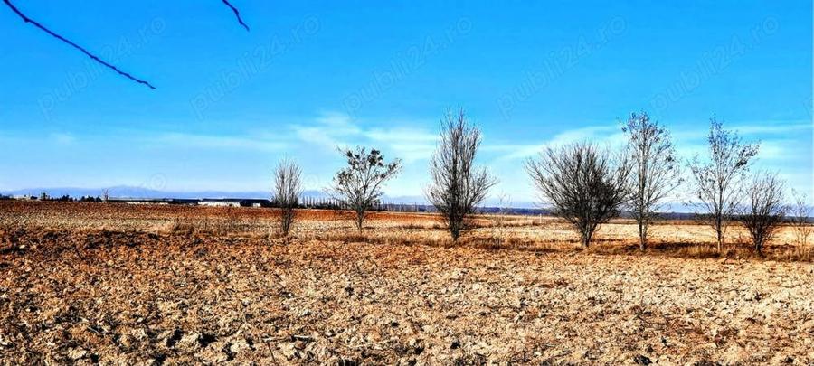 Casă cu 2 camere cu Teren 2536 Mp în Poienarii-Rali
