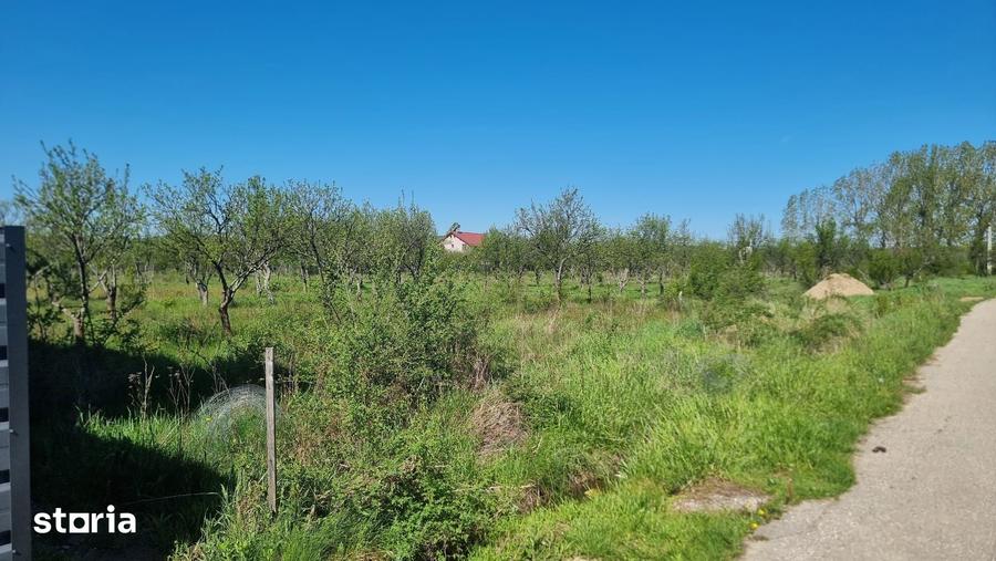 Teren de 800 mp, în Bascov