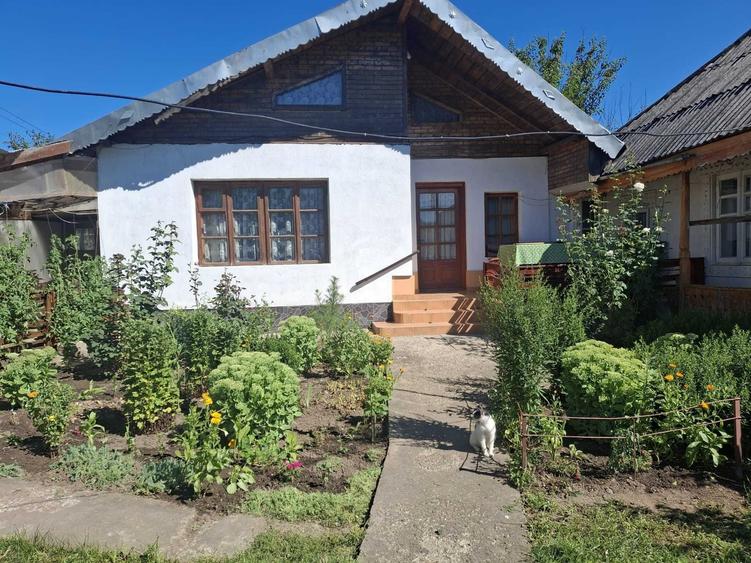 Casă cu 4 camere în Exterior Vest