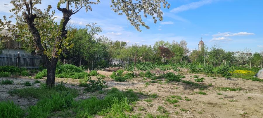 Casă individuală cu 2 camere cu Canalizare în Berceni