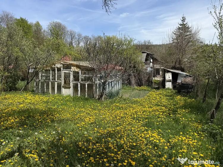 Casă cu 5 camere cu Teren 3056 Mp în Central