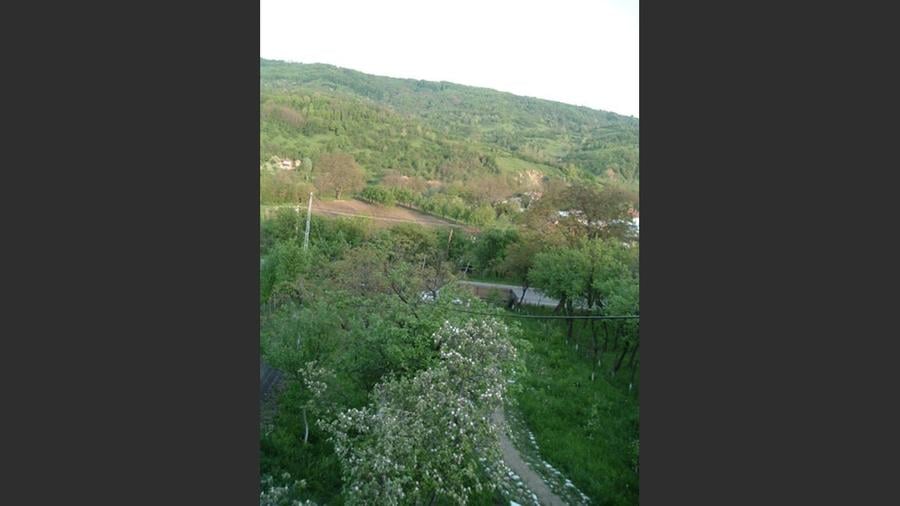 Casă cu 3 camere cu Canalizare în Drajna de Jos