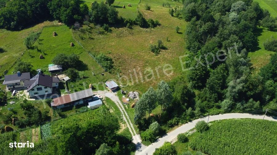 Teren de vanzare in comuna Valea Iasului, judet Arges. - 8