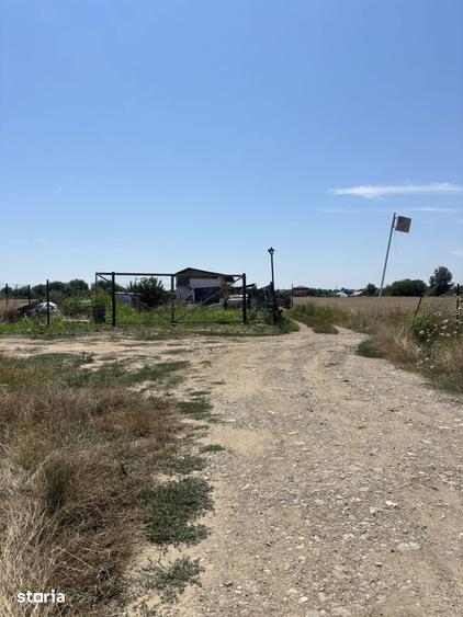 Teren de 5000 mp, în Podari
