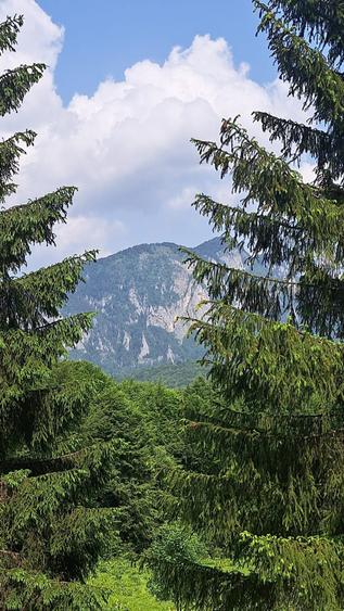 Casă cu 4 camere în Cheia
