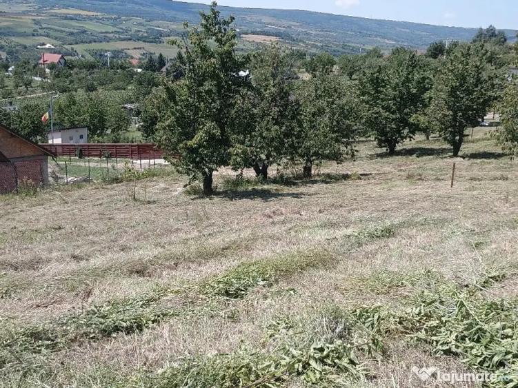 Teren de 1420 mp, în Chicerea