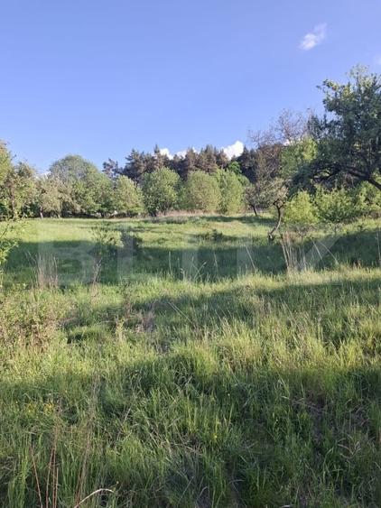 Teren Construcții extravilan de 10000 mp, în Tărlungeni