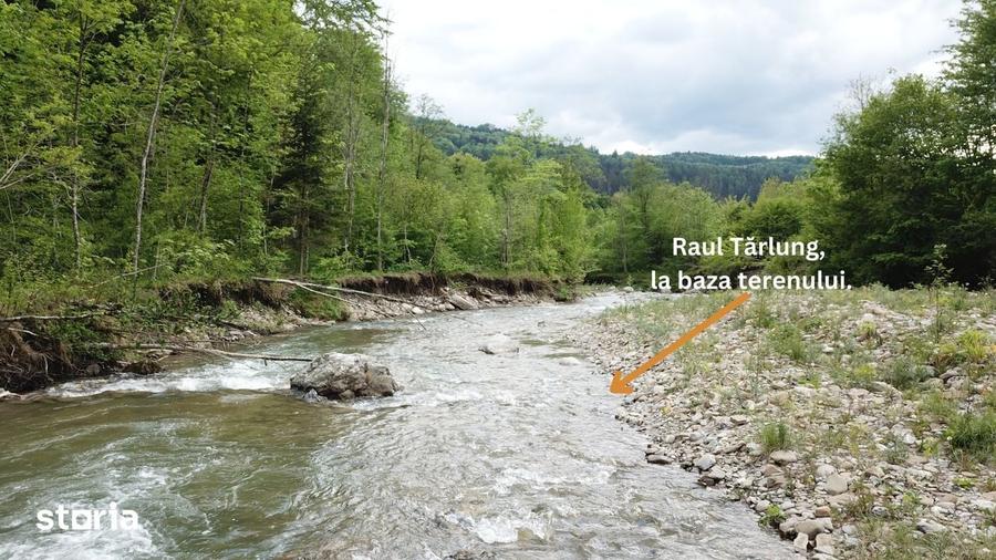 Teren intravilan de vanzare Sacele, zona Babarunca 4.000 mp - 1
