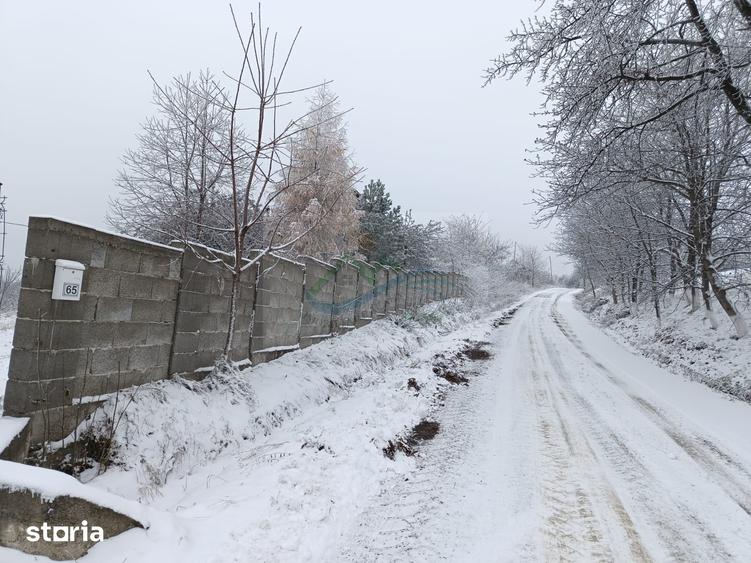 Casă cu 4 camere cu Teren 4863 Mp în Coșna