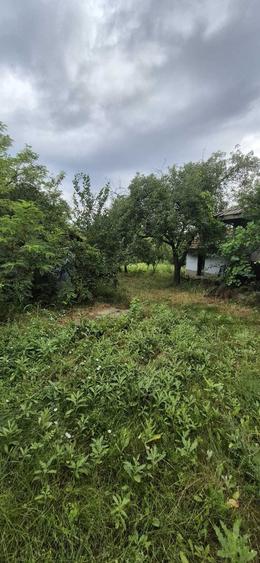 Casă cu 3 camere în Răsuceni