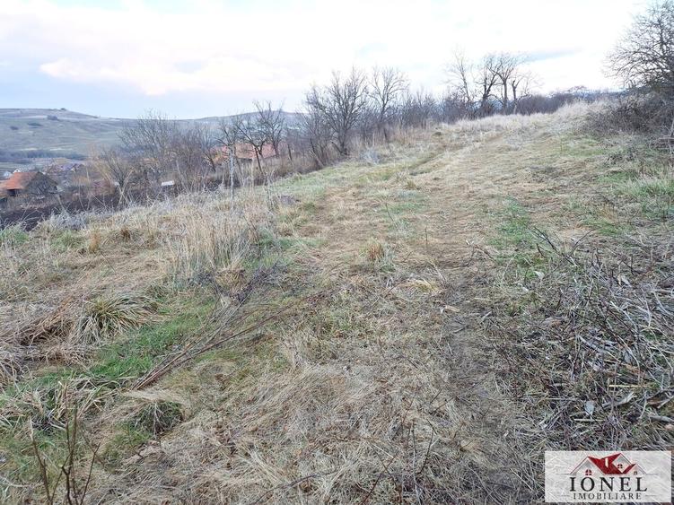 Teren Construcții intravilan de 2125 mp, în Henig