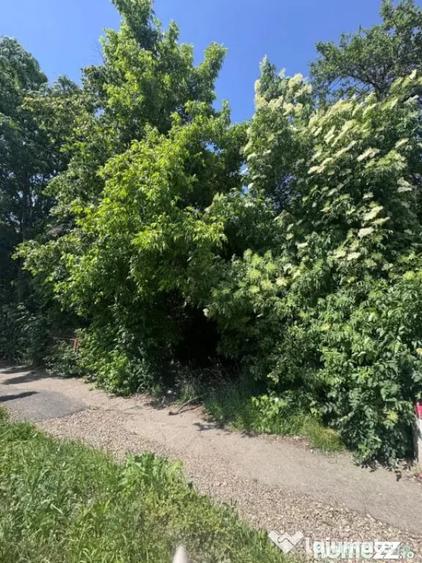 Teren de 4200 mp, în Rădăuți