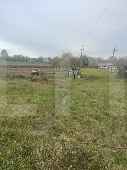 Teren Construcții intravilan de 1000 mp, în Dorohoi