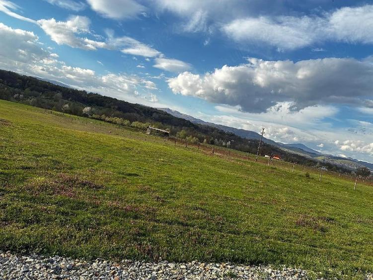 Teren de 4600 mp, în Central