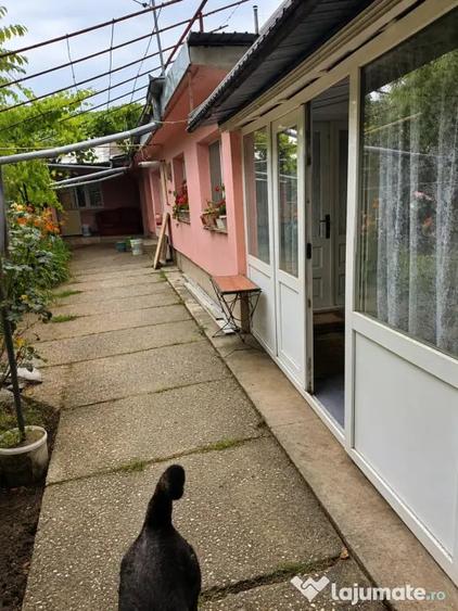 Casa ?i Teren 473 mp, Voluntari Str. Dulgherului, Deschidere Uria?a 18.85 m - 4