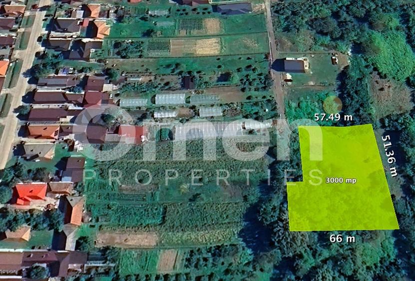 Teren Construcții intravilan de 3000 mp, în Mocira